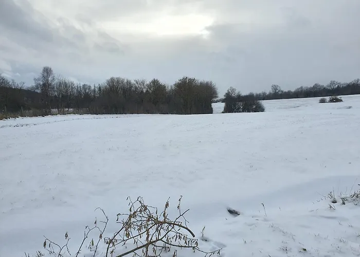 Check Ferien Dot World *