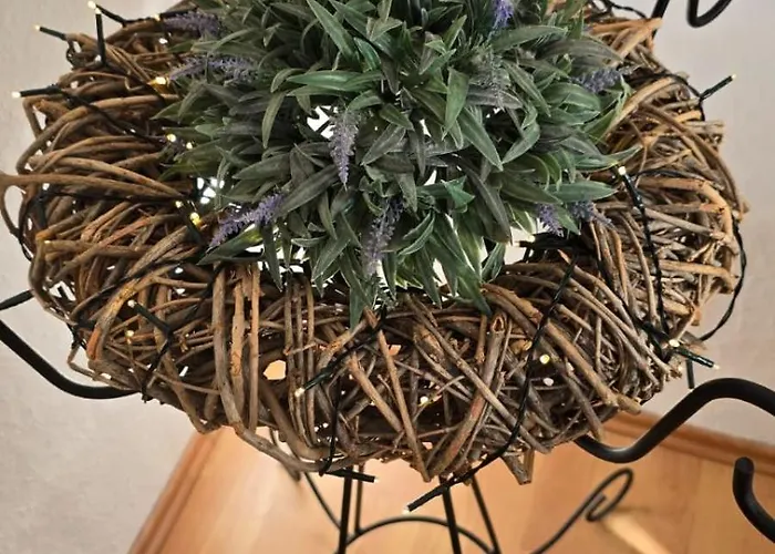 Semesterbostad Check Ferien Dot World Berenbach